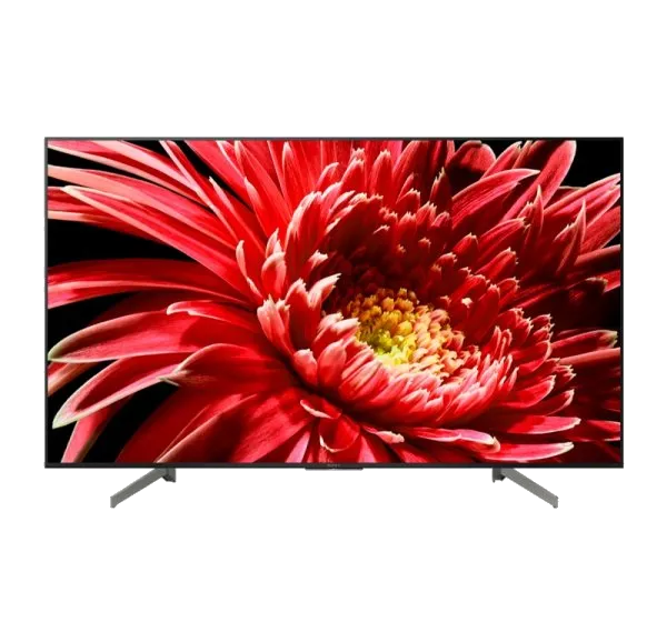 телевизора Sony KD-55XG8596